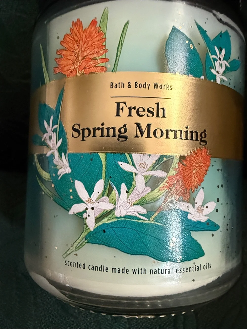 NWT Bath & Body Works Fresh Spring Morning Single Wick Candle.